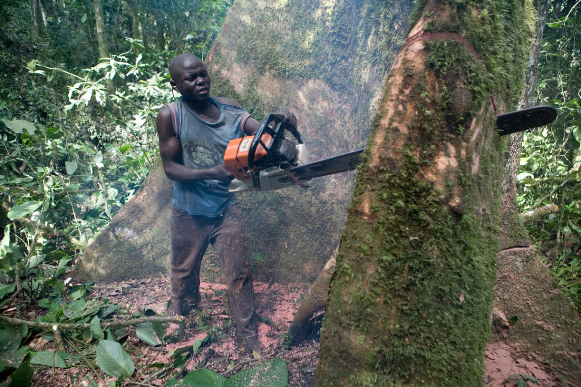 A l’ouverture du Sommet de l’Amazonie : la RDC dans l’optique d’améliorer la gouvernance de ses ressources naturelles