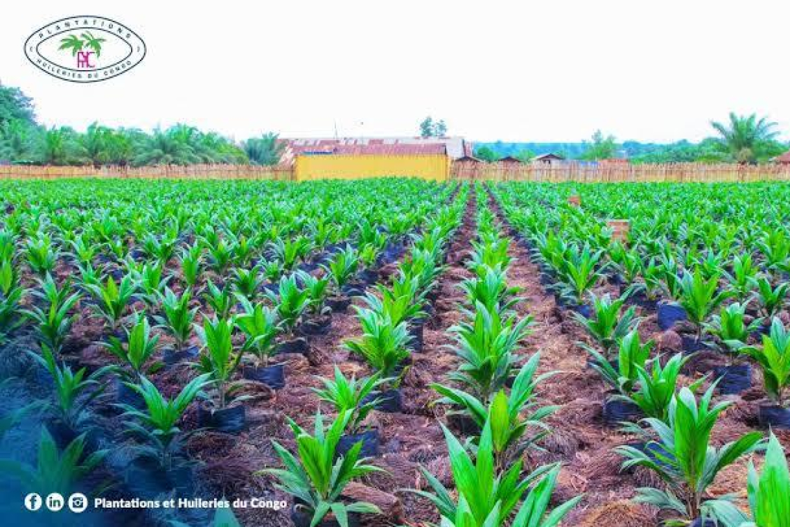 Une société congolaise lance sa Fondation à l’occasion de la Journée mondiale de charité