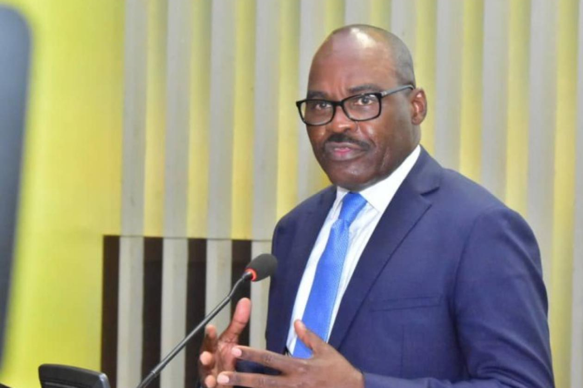 RDC : Nicolas Kazadi débarqué d’un vol et son passeport confisqué