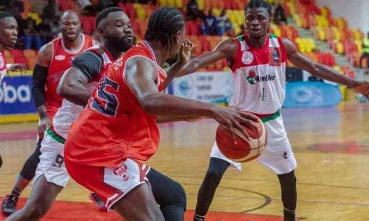 BAL : Chaux Sport impose sa loi d'entrée face aux Abeilles