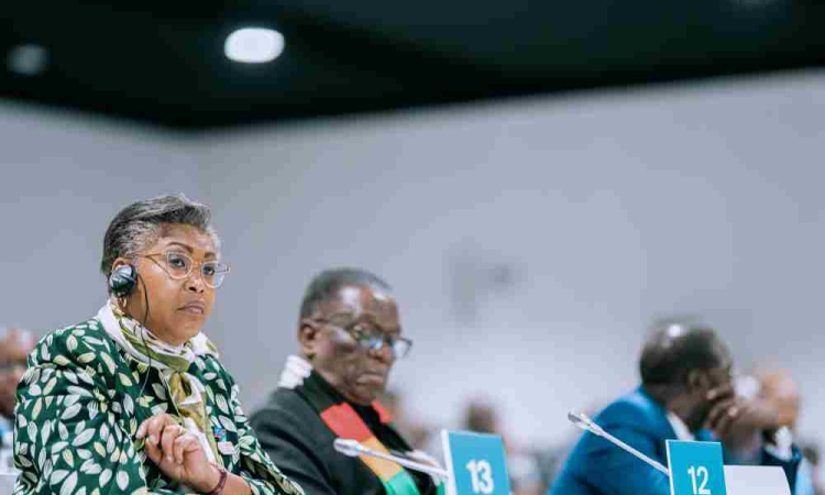 COP29 : Judith Suminwa Tuluka plaide pour la valorisation du capital naturel de la RDC à la réunion présidentielle de la BAD