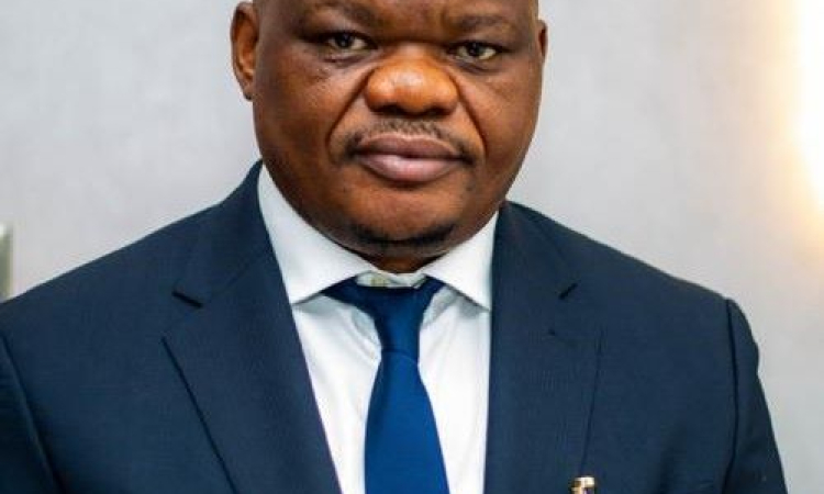 Nomination de Jean de Dieu Désiré Ntanga Ntita à la tête du P-DDRCS: un atout pour la stabilisation et la paix en RDC